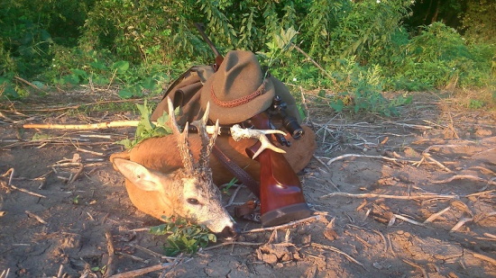 Uspešne privábený.