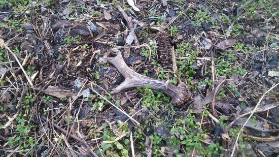 Konečne sa usmialo štastie i na mna.