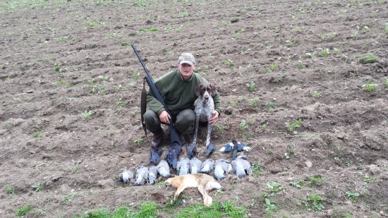 Poľovačka na holuba hrivnaka