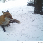 pohodička pred fotopascou