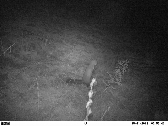 na zadnýých.....:)