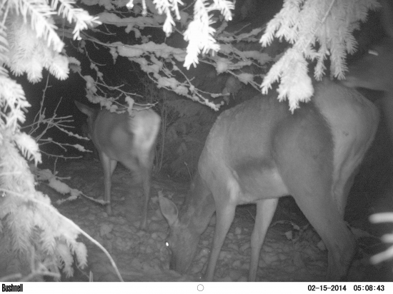 pekne z blízka mi prišli