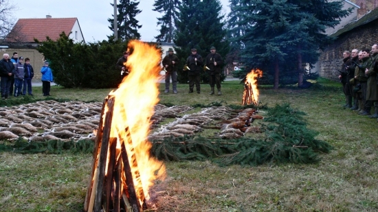 vydařený hon