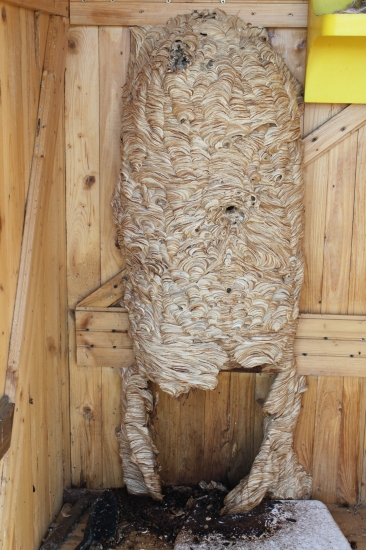 překvapení v kadibudce