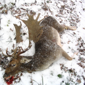 úspěšná dohledávka