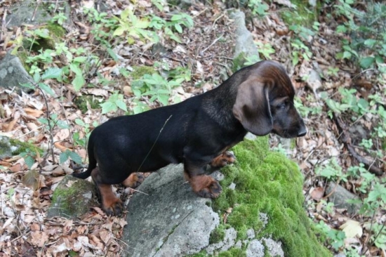 Moje prvé chvíle v revíri