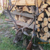 Říje 2011