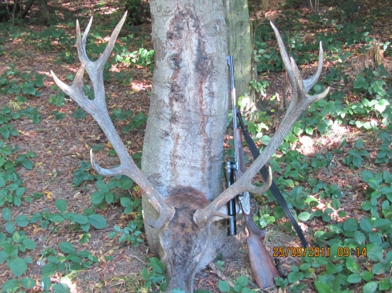 Říje 2011