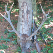 Říje 2011