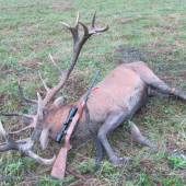 Král od Magury, momentka po ulovení.