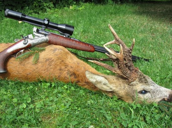 Večerní překvapení