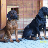 Ares a Blek