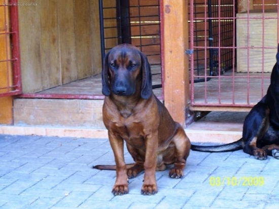 podme do lesa to je nuda