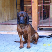 podme do lesa to je nuda