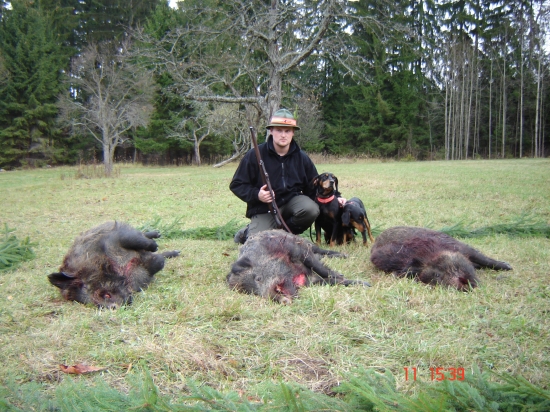 uspešná polovačka