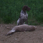 Don vom Brettenbach-úspešná dohľadávka