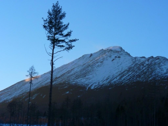 Slavkovský
