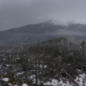 Nespracovana kalamita