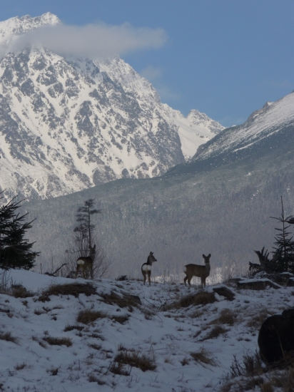 V pozadi s Gerlachom