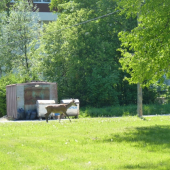 Na poobednajšej špacirke cez Tatr. Lomnicu