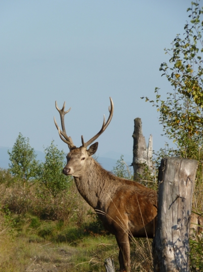 Ked  je cítíť jeho dych