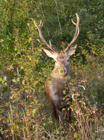 Máme na seba štastie