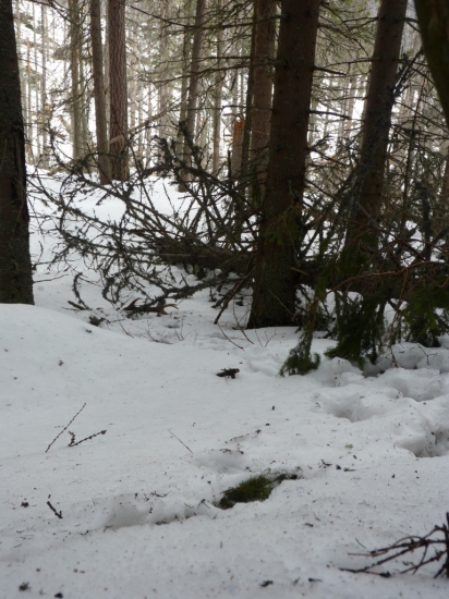 Všetko poprvé je najkrajšie