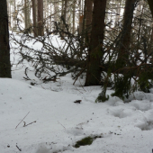 Všetko poprvé je najkrajšie