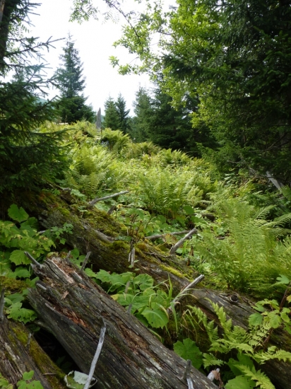 Spomienka na letnu romantiku