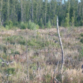 nezabudnutelny zazitok z ruje