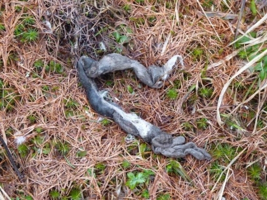 od coho to moze byt?