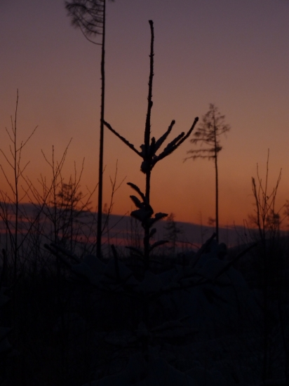 Zimny zapad slnka