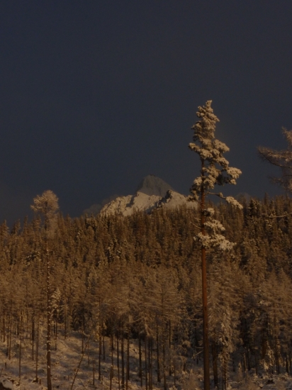 Lomničák sa stráca
