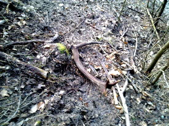 keď sa poštastí. pár k č.1