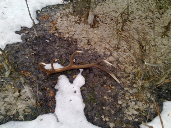 ked sa poštastí .. prvi pohlad :)