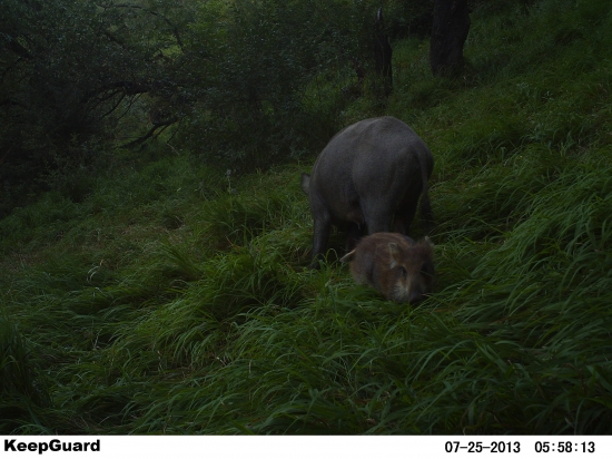 mama ktosi nas tu foti