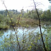 Raj pre vodné vtáctvo