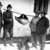 Starý otec a jazvec