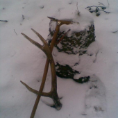 starši ale potešil