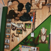 kúsok z mojej skromnej izbičky :DD