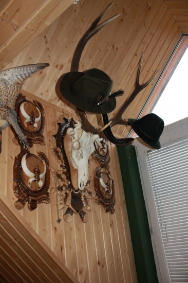 kúsok z mojej skromnej izbičky 2 :DDD