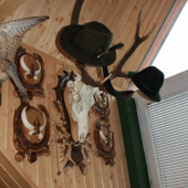 kúsok z mojej skromnej izbičky 2 :DDD