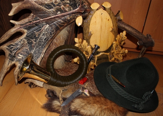 Môj nový pomocník, už sa len naučiť trúbiť ...