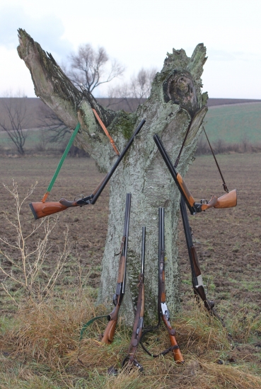 prírodný stojan na zbrane