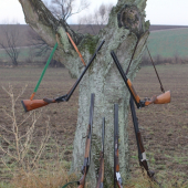 prírodný stojan na zbrane