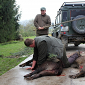 Pasovanie za lovca diviačej zveri