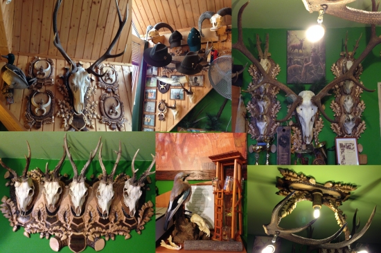 Moja poľovnícka izba