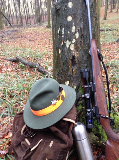 už len čakať a pozorne pozerať