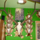 kúsok z mojej zbierky