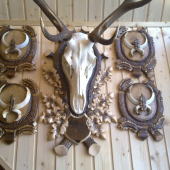 stena s trofejami...